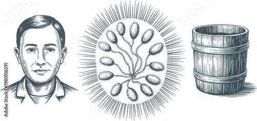 Vintage engraved illustration set featuring hops flowers, barrel, and portrait subject for brewery branding. isolated on transparent background