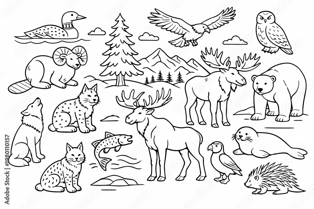 Fototapeta premium Canadian Wildlife Animals Line Art Illustration Set Featuring Moose, Polar Bear, Wolf, Bald Eagle, Owl, Loon, Lynx, Salmon, Seal, and Porcupine. Simple Flat Vector Icons for Coloring Book Pages.