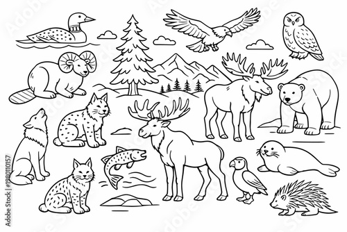 Canadian Wildlife Animals Line Art Illustration Set Featuring Moose, Polar Bear, Wolf, Bald Eagle, Owl, Loon, Lynx, Salmon, Seal, and Porcupine. Simple Flat Vector Icons for Coloring Book Pages.