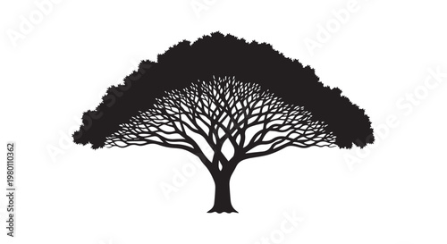 Silhouette of a large, spreading tree with intricate branches and a full canopy, symbol of nature and growth, vector illustration.
