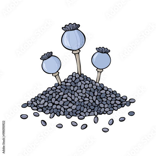 Poppy seed pods and a pile of tiny black seeds representing opium poppy harvest