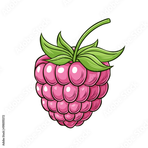 Vibrant Cartoon Raspberry Fruit with Green Leaves and Stem, Fresh and Juicy Sweet Berry Illustration