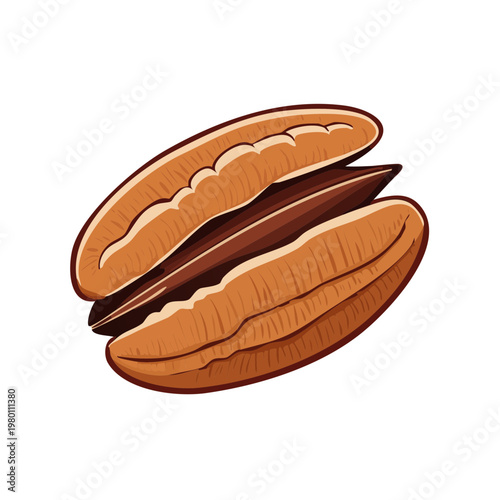 Close up of a single pecan nut with its shell split revealing the kernel inside healthy food illustration