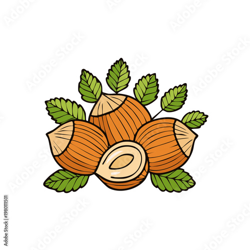Hand Drawn Illustration of Hazelnuts with Green Leaves
