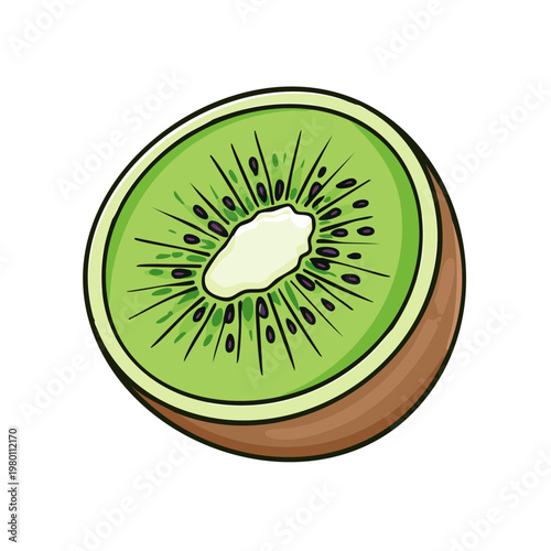Hand drawn illustration of a sliced kiwi fruit showing green flesh and black seeds
