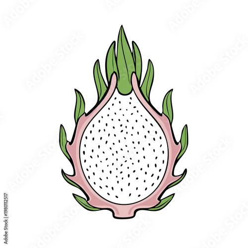 Dragon Fruit Half Slice with Pink Scales and White Flesh