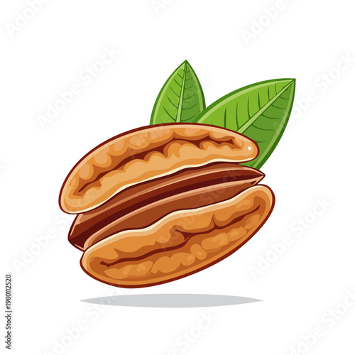 Two Delicious Pecan Halves with Green Leaves Illustration