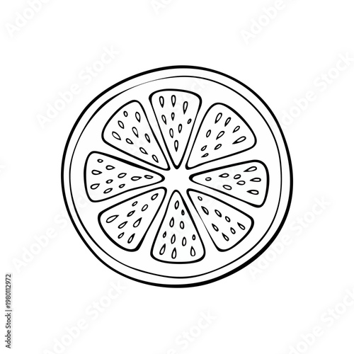Hand Drawn Outline Slice of Orange or Lemon Citrus Fruit Graphic