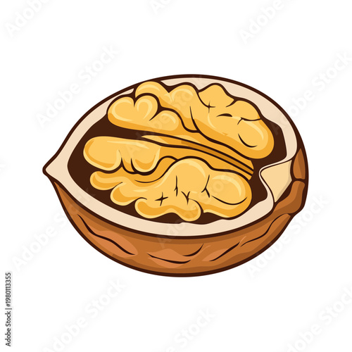 Freshly Cracked Walnut Halves Revealing Textured Inner Kernels in Bright Sunlight