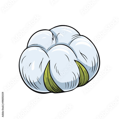A close-up illustration of a fluffy white cotton boll with green sepals against a white background