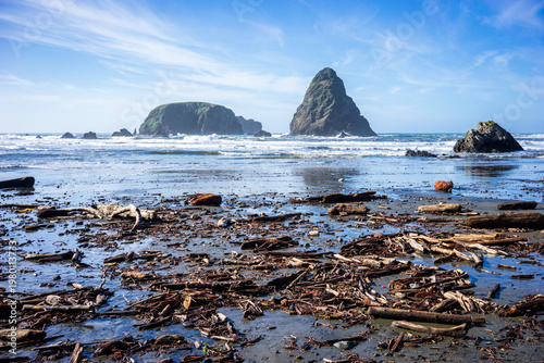 Photos A Sunny Day At Whaleshead Beach On The Oregon Coast