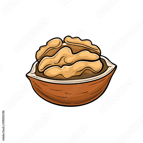 Close up of a half walnut shell filled with nutritious walnut kernels in a simple illustration style