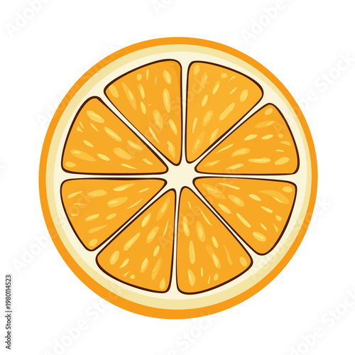 Illustration of a vibrant, juicy orange slice with segments and pulp detail