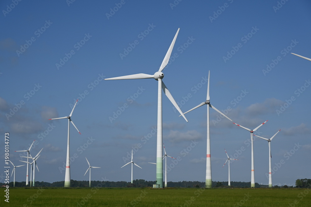 Fototapeta premium Windpark in Ostfriesland