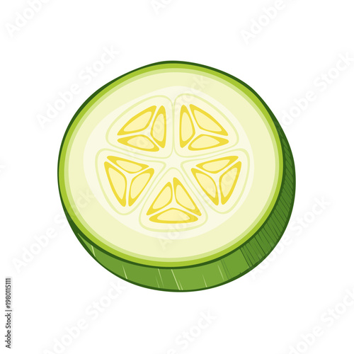 Close-up illustration of a round slice of fresh green zucchini with visible seeds and pulp