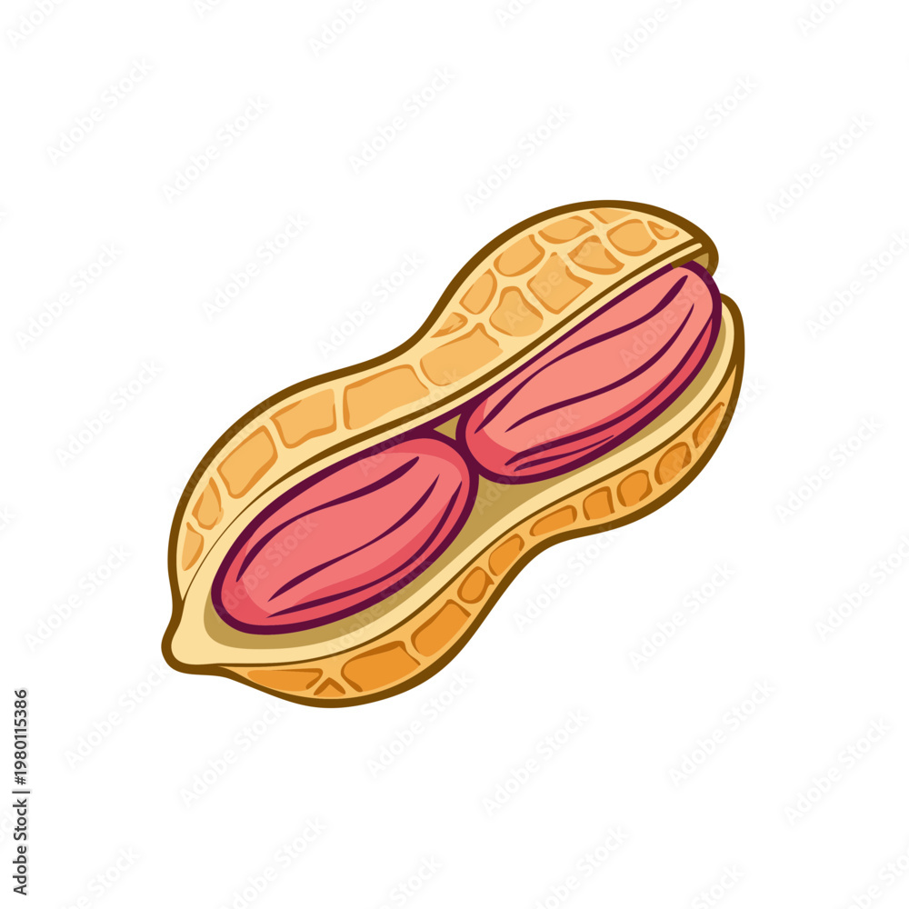 Obraz premium Open Peanut with Two Red Kernels Inside, Simple Illustration