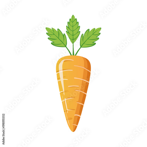 Vibrant orange carrot with healthy green leaves, a nutritious root vegetable illustration