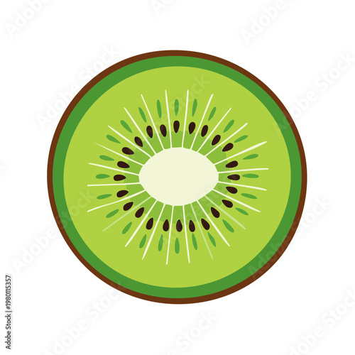 Brightly colored cross-section of a juicy kiwi fruit with black seeds and green flesh