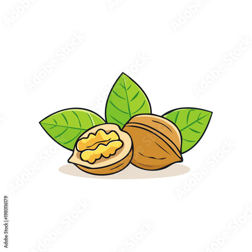 Wholesome Walnuts With Green Leaves Illustration Fresh Healthy Food