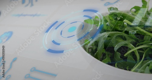 HUD appearing, rings rotating and pulsing beside white planter, camera drifting to show leaves