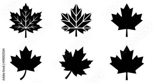 Maple leaf vector icons set, black silhouette foliage elements, 6 Canadian maple leaf symbols for logo design and autumn branding