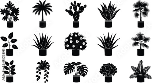 Set of potted plant silhouettes with tropical leaves cactus and decorative houseplants black vector illustration collection