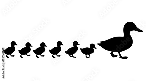 Black duck silhouette leading a line of five ducklings, isolated on transparent background