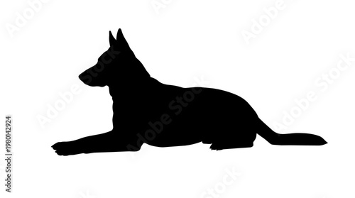 Photos Black silhouette of a German Shepherd dog lying down, isolated on transparent ba