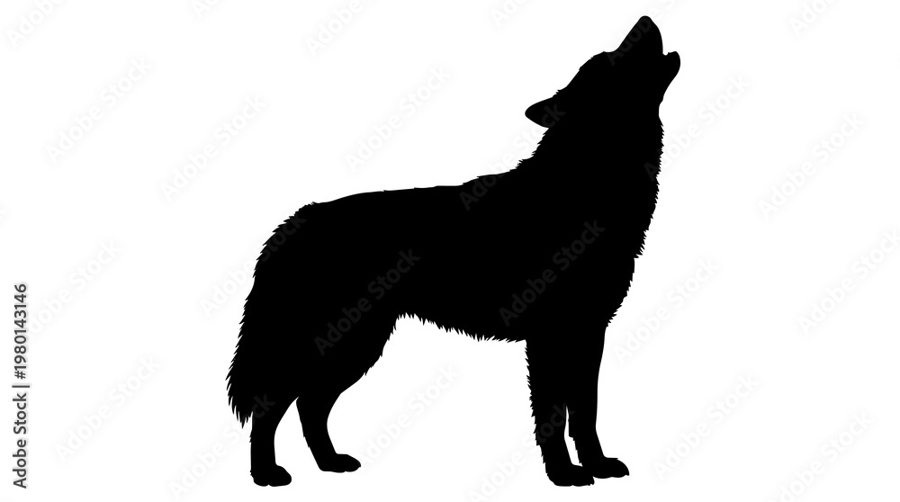 Fototapeta premium Black wolf silhouette howling, isolated on transparent background