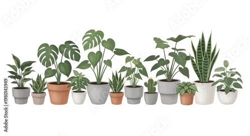 A curated collection of various potted houseplants arranged in a decorative linear composition