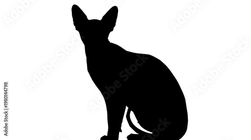 Photos Black silhouette of a hairless cat sitting, isolated on transparent background