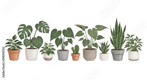 A vibrant collection of potted houseplants featuring monstera snake plants and various leafy greens