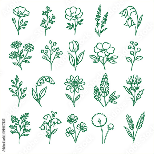 set of floral elements for design