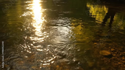 Sunlight reflecting on flowing water, creating a beautiful natural scene.