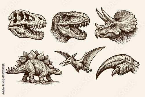 Set of Vintage Hand Drawn Dinosaur Illustrations Featuring Tyrannosaurus Rex Skull and Head, Triceratops, Stegosaurus, Pterodactyl, and Predator Claw in Engraving Style for Prehistoric Design