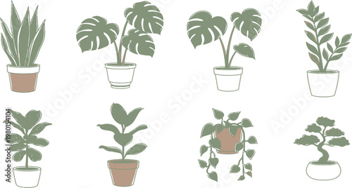 Collection of eight unique potted houseplants in minimalist illustration style Vector