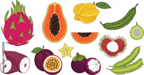 Assorted exotic and tropical fruits illustration Vector