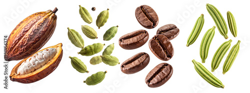 Cacao pod, coffee beans, cardamom, and fennel seeds on transparent background