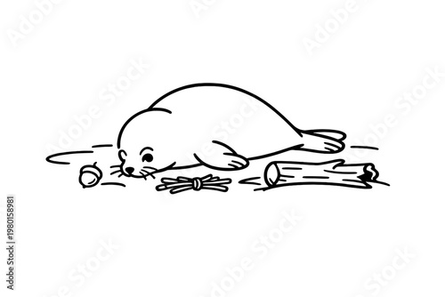 Simple line drawing of a sleeping seal beside driftwood
