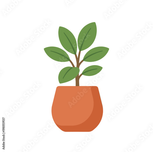 Minimalist potted green plant with smooth leaves in a terracotta planter