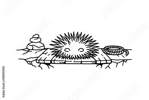 Hand drawn sea urchin on a wooden dock with stones and rope