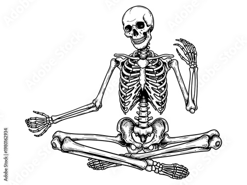 Human skeleton details vector
