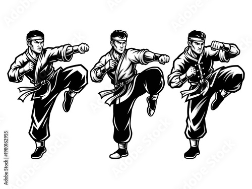 Male kung fu athlete ready to attack vector