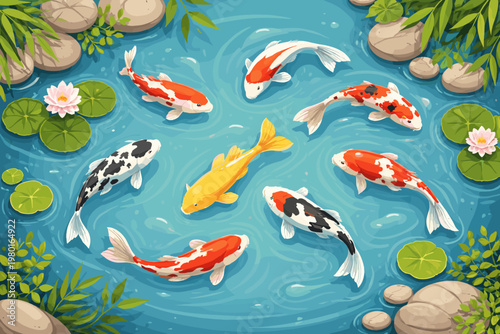 Vector illustration of a tranquil koi fish pond from a top view featuring colorful Japanese carp swimming among lily pads, blooming lotus flowers, and smooth river stones in clear blue water.
