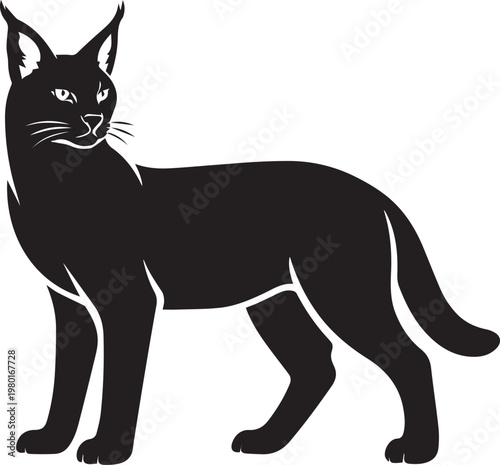 Black silhouette of a caracal cat with tufted ears standing and looking left silhouette wildlife predator carnivore creature graceful whiskers illustration