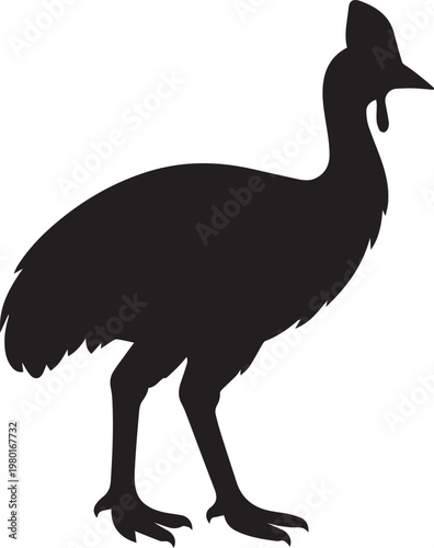 Black silhouette of a cassowary bird with a crest standing on all fours cassowary silhouette wildlife flightless creature powerful dangerous feathers australia