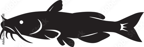 Catfish silhouette with silhouette wildlife underwater freshwater creature ichthyology illustration isolated