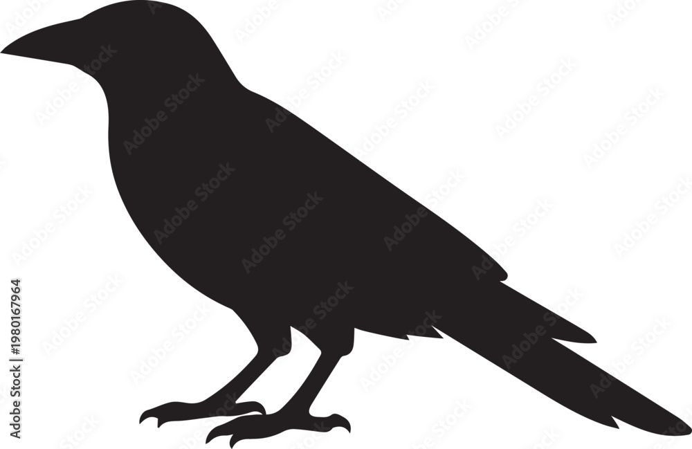 Fototapeta premium Black silhouette of a crow or raven perched on a white background with silhouette wildlife illustration isolated minimalist intelligent