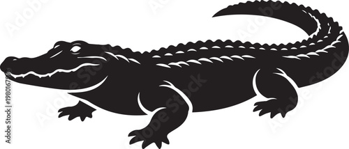 Silhouette of an alligator or crocodile on a white background low angle view alligator crocodile silhouette wildlife dangerous predator illustration isolated
