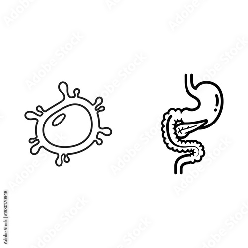 Illustration of a Human Cell and the Human Digestive System Organs